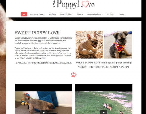 responsive webdesign, logo design and business card printing by 8WEB