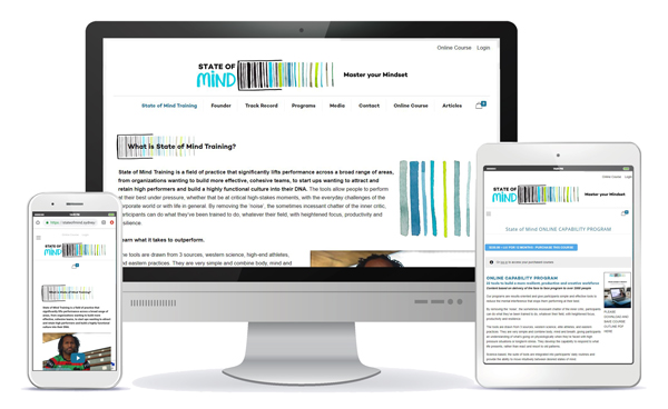 state of mind responsive website
